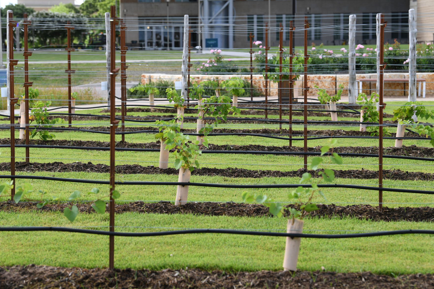Leach Teaching Gardens